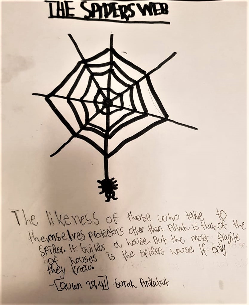 Spider’s Web- Shiza’s Work