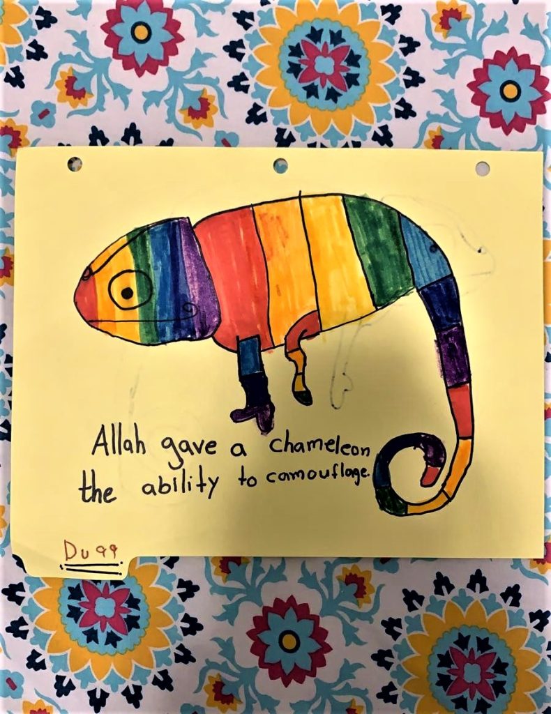Chameleons as Ayat of Allah- Duaa’s Work