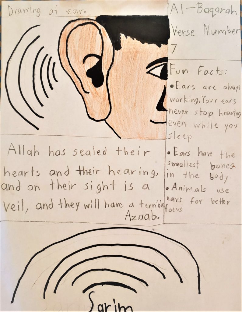 Ears- Ayaat of Allah- by Sarim