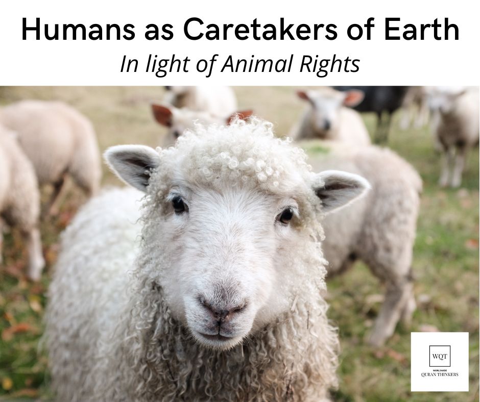 Humans as Caretakers-Khalifa of the Planet Earth! - WQT